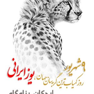 یوز ایرانی